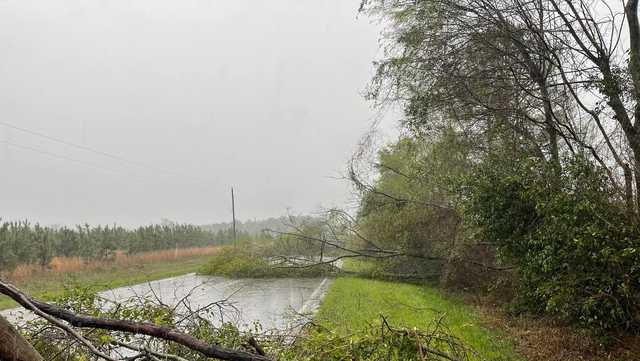 South Carolina storm system, tornadoes destroy 14 homes: NWS - Vimarsana News