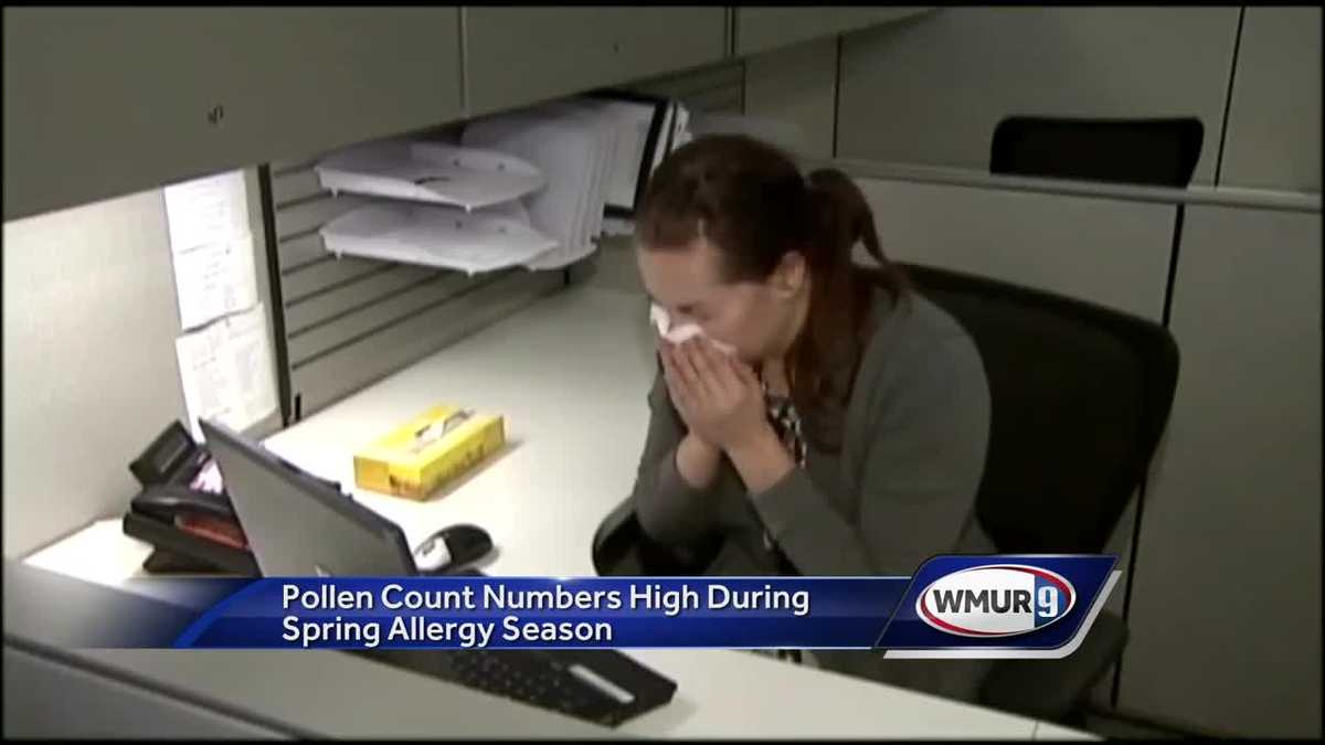 Pollen count numbers on the rise as allergy season hits NH