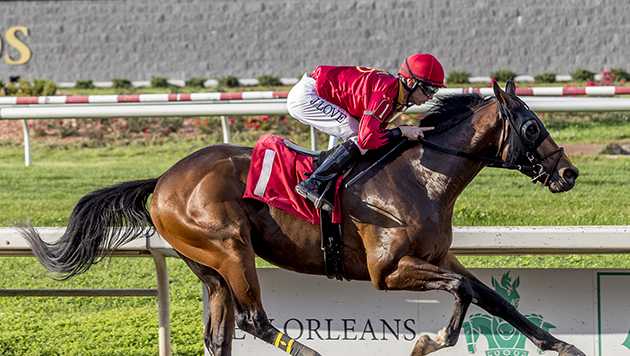 Allnight Moonlight wins Half Ours Stakes at Fair Grounds - Vimarsana News