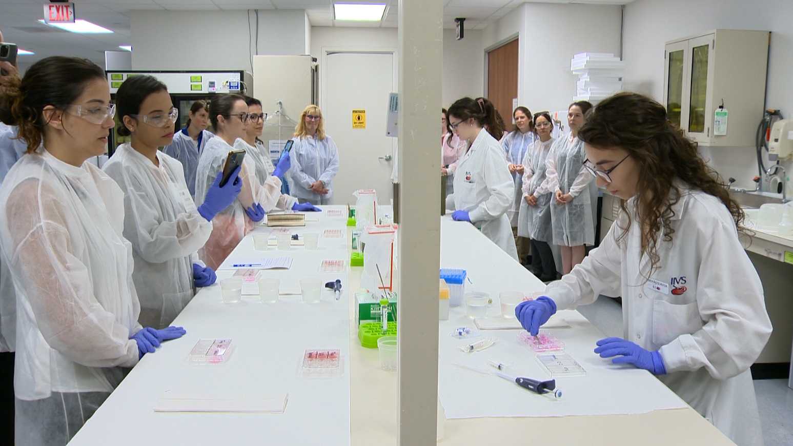 Lab uses alternative to animal testing for research - Vimarsana News