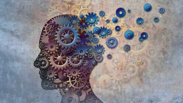 Why does Maryland have a high prevalence of Alzheimer's disease? - Vimarsana News