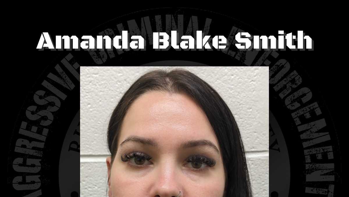 Local woman gets $1 million bond after search warrant at home, arrest, deputies say