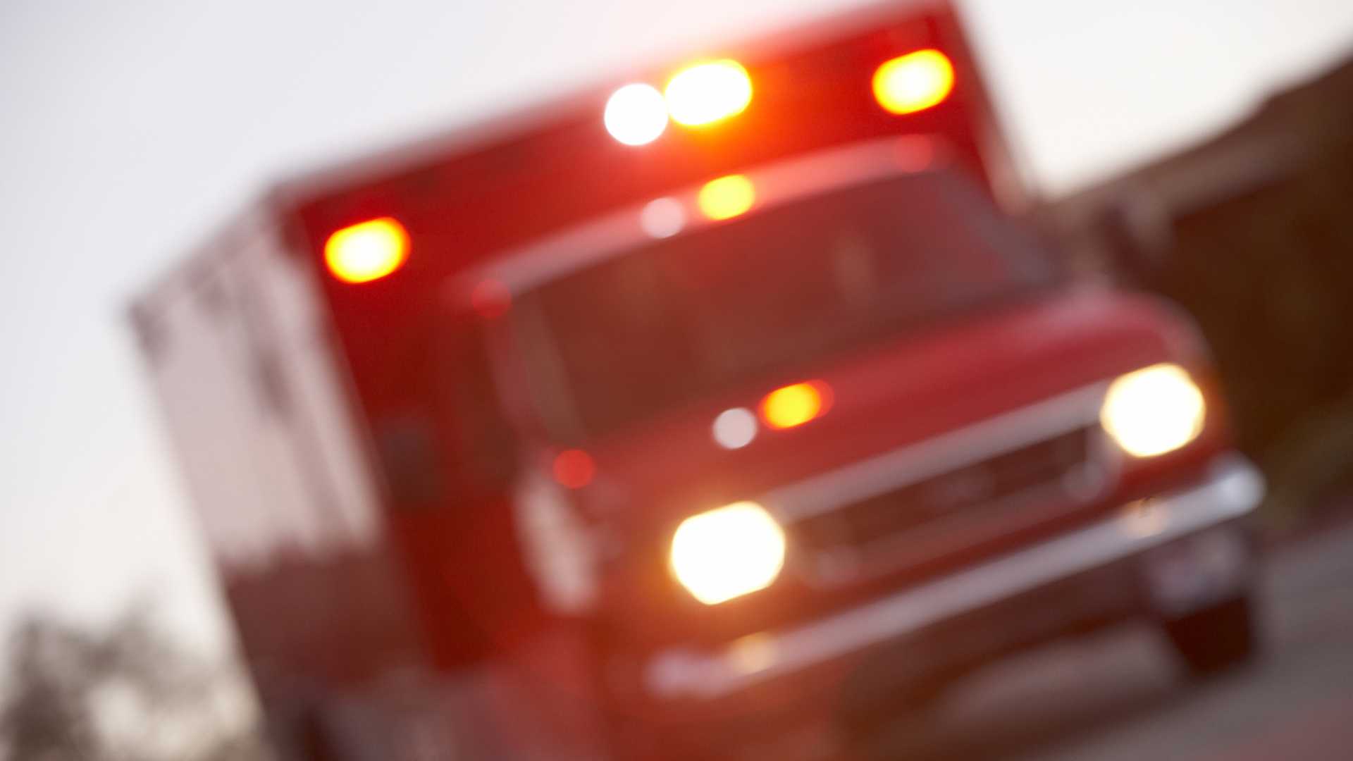 2 adults and a 20-month-old killed in separate Jasper County crashes over Labor Day weekend