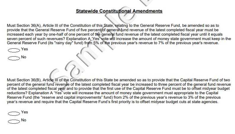 South Carolina: Explanation Of Amendment On The Ballot