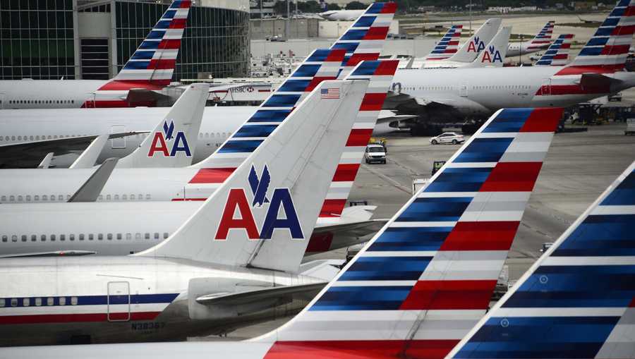 An emotional-support dog bit an American Airlines flight attendant, resulting in an injury that required five stitches.