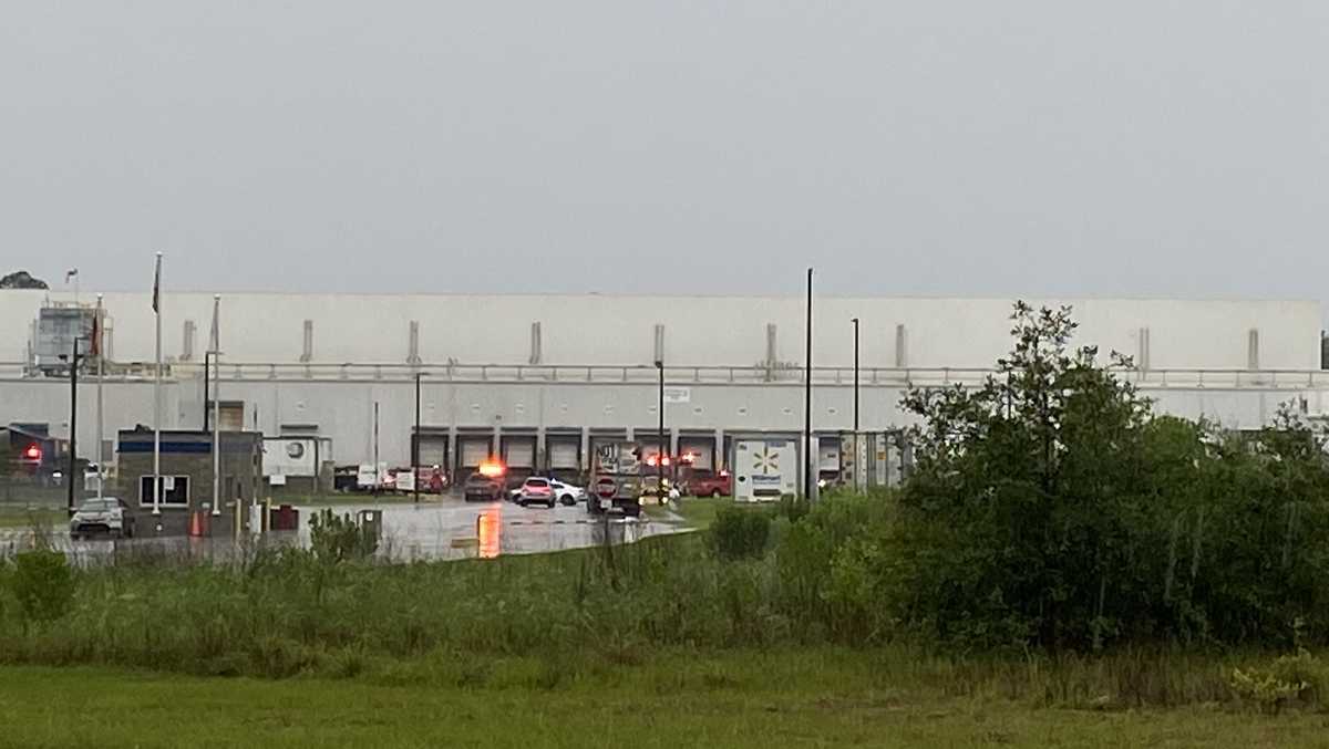 Americold warehouse in Effingham County reopened after man died - WJCL