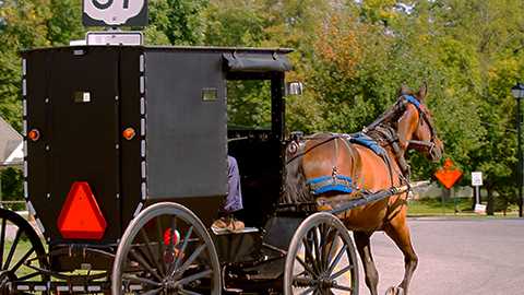 Oshp Driver Dead Horse Euthanized After Car Hits Buggy In Highland County