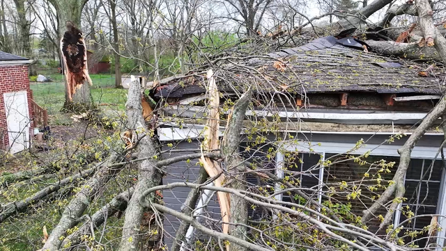 Storms take down trees, damage home in Anderson Township