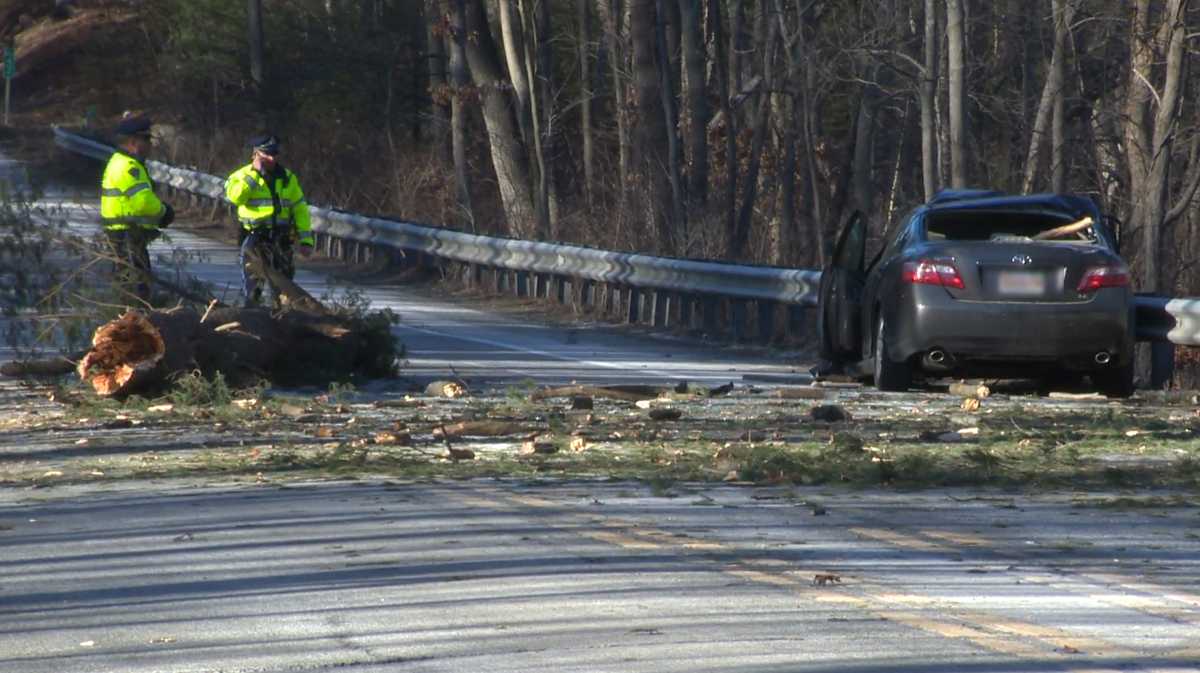 Woman killed by falling tree in Andover identified