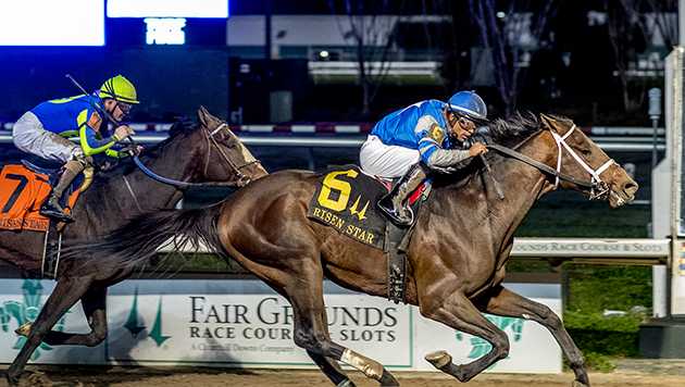Angel of Empire towers over Risen Star Stakes foes - Vimarsana News