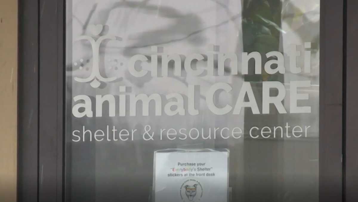 Cincinnati Animal CARE to continue running Hamilton County Animal ...