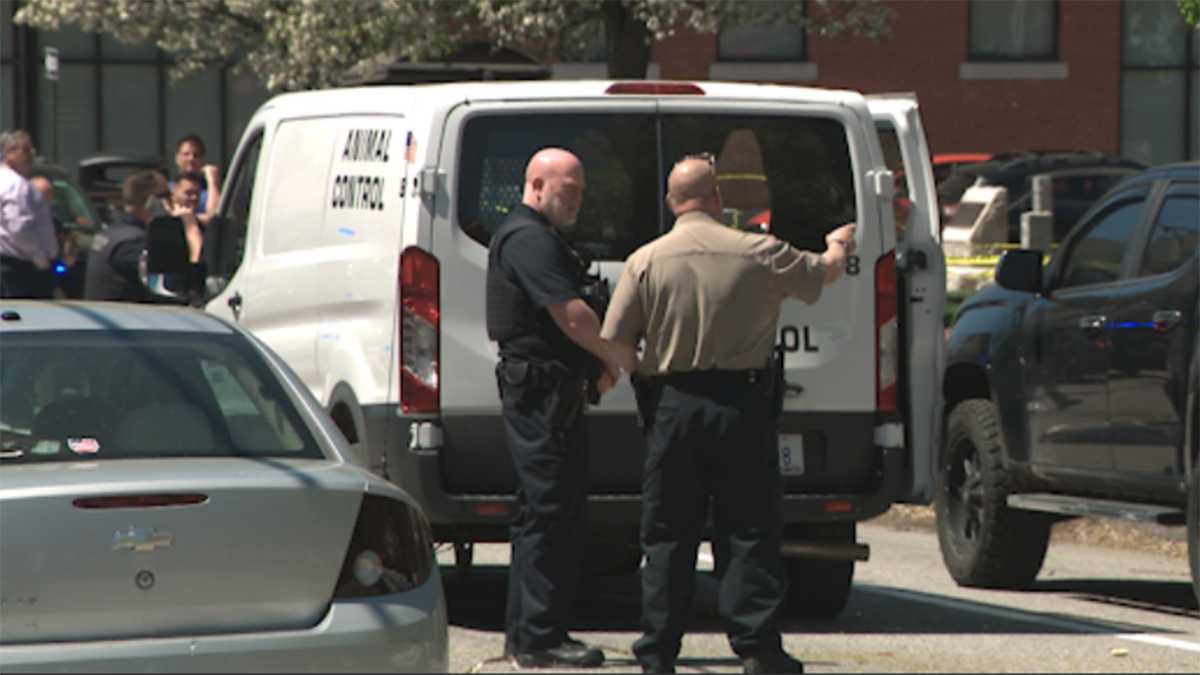 Child injured in dog attack, neighbor intervenes in Manchester