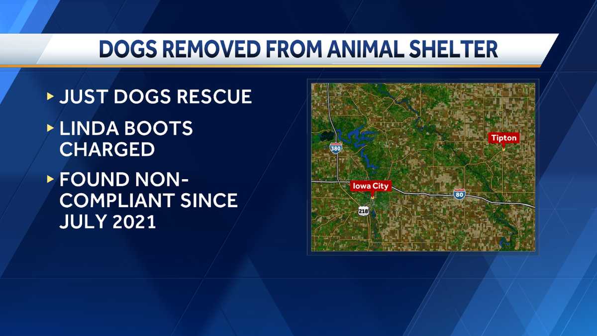 Owner of eastern Iowa facility charged with animal neglect