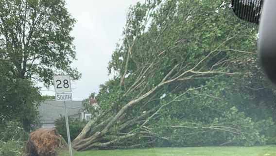 Photos: Tornadoes, severe storms tear through Cape Cod