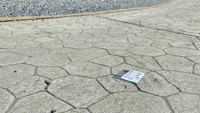Antisemitic leaflets in plastic bags left in Carmichael neighborhood - Vimarsana News