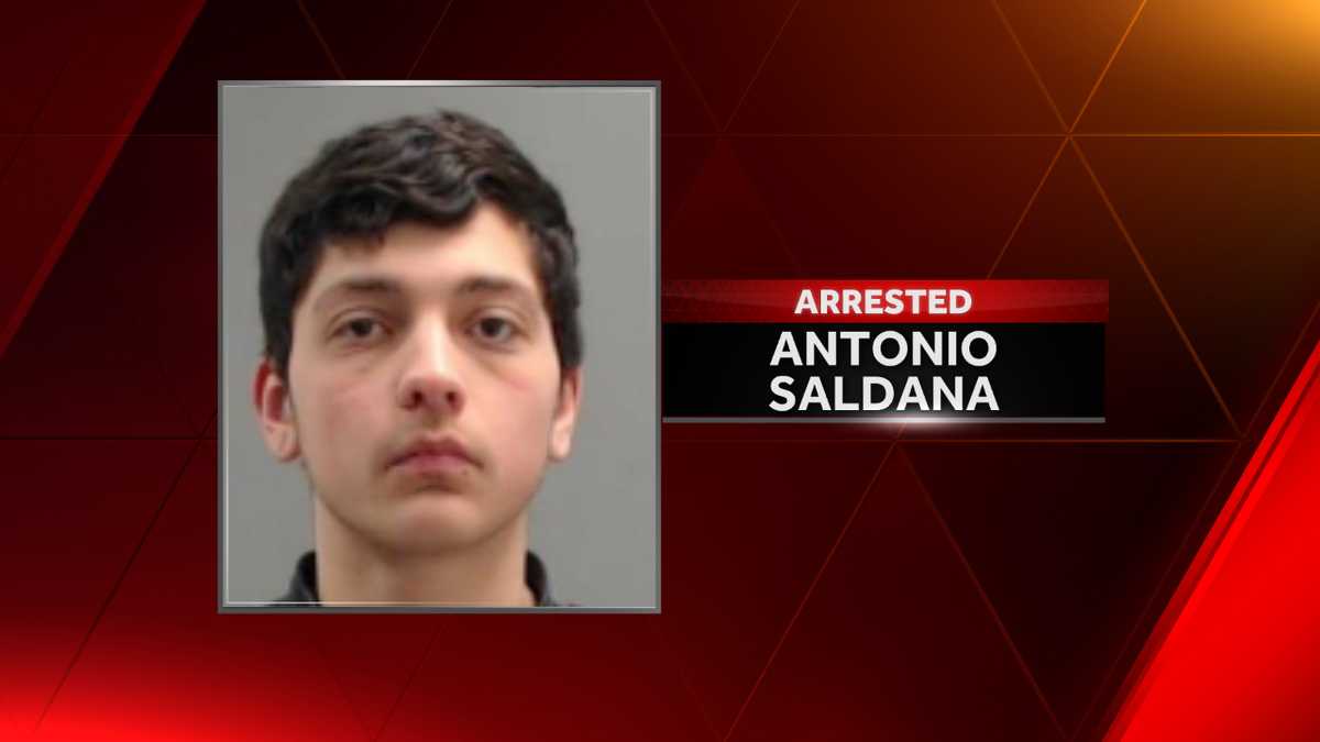Man driving stolen vehicle crashes after pursuit, police say