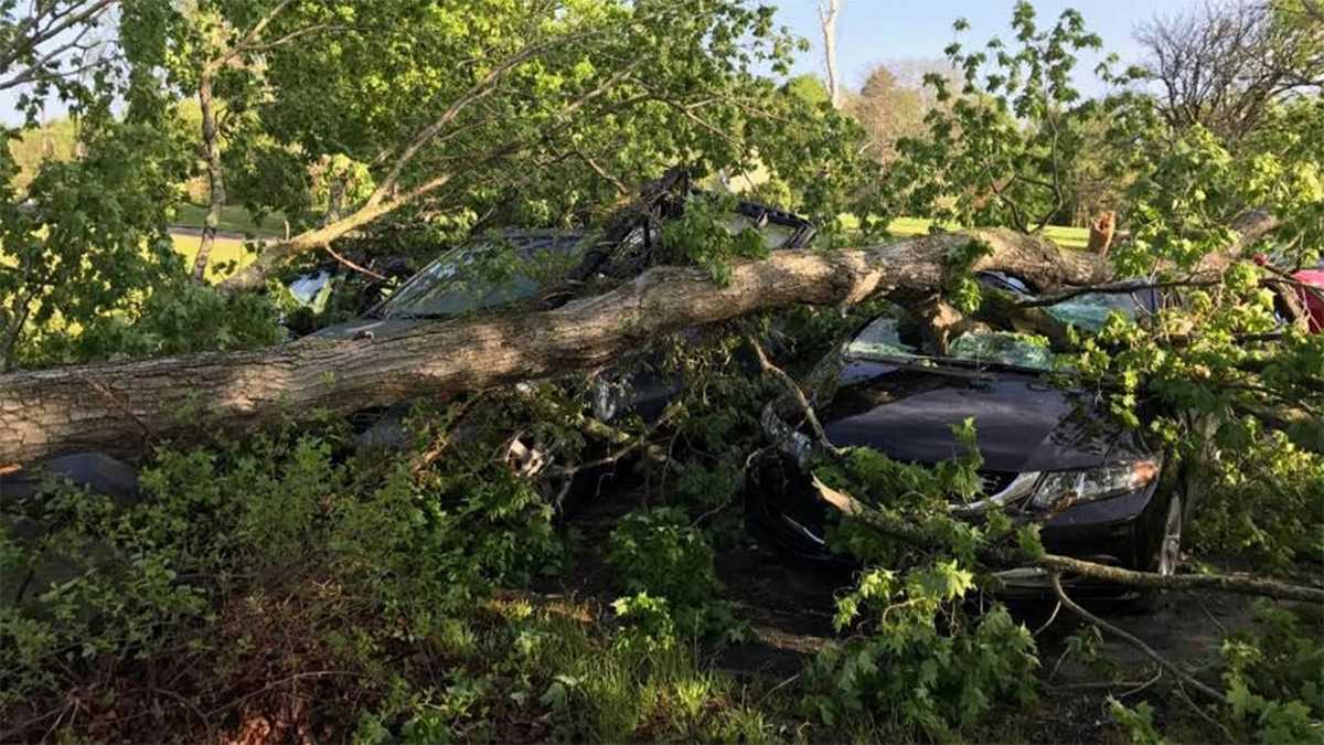 Strong thunderstorms topple trees, knock out power