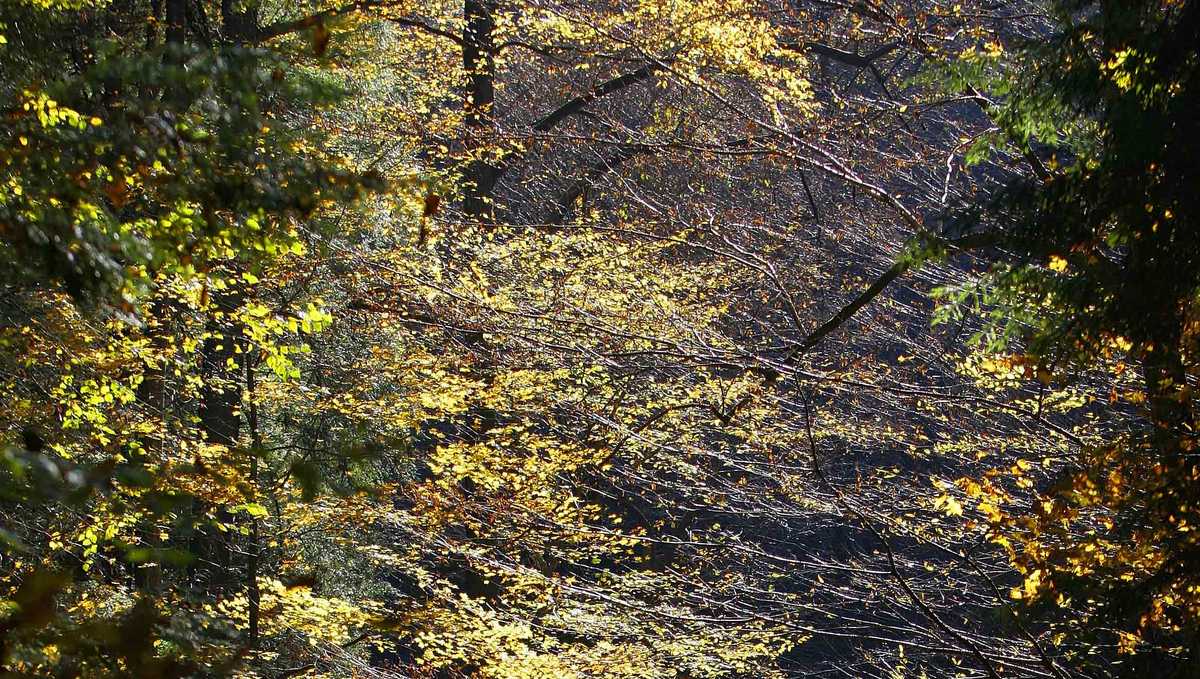 Authorities Man dies after falling from cliff in Ohio park