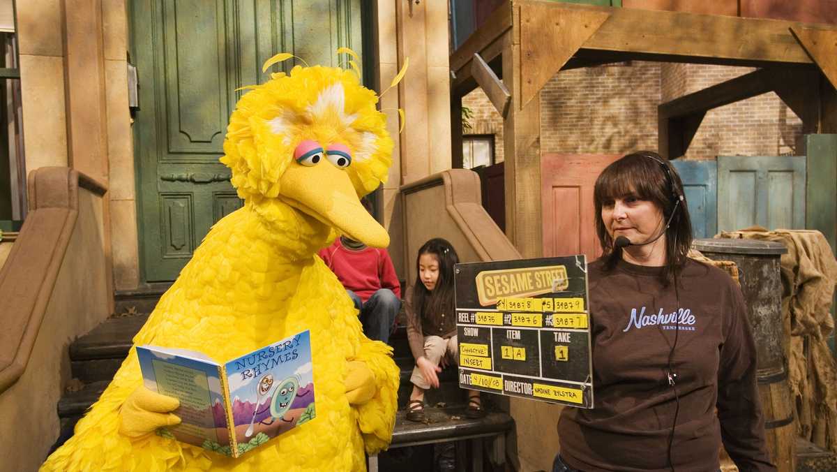 sesame street big bird's teddy bear