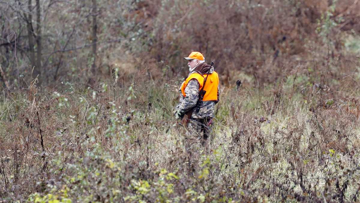 Record deer hunt begins in Maine