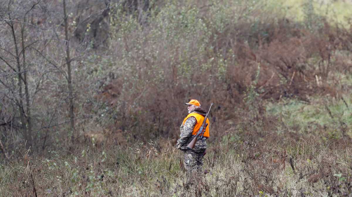 Vermont officials report more than 16,000 deer taken in 2019 season