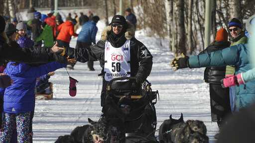 how many dogs needed to finish iditarod