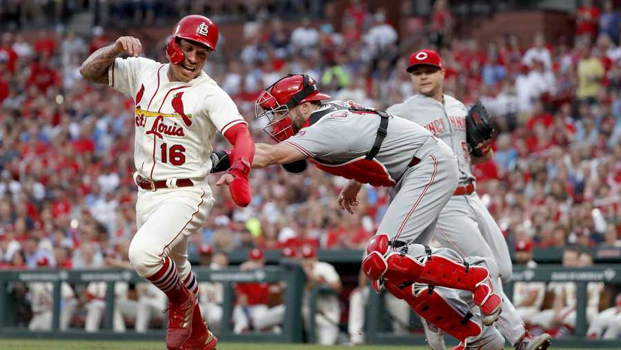 Cardinals rally past Reds for doubleheader sweep