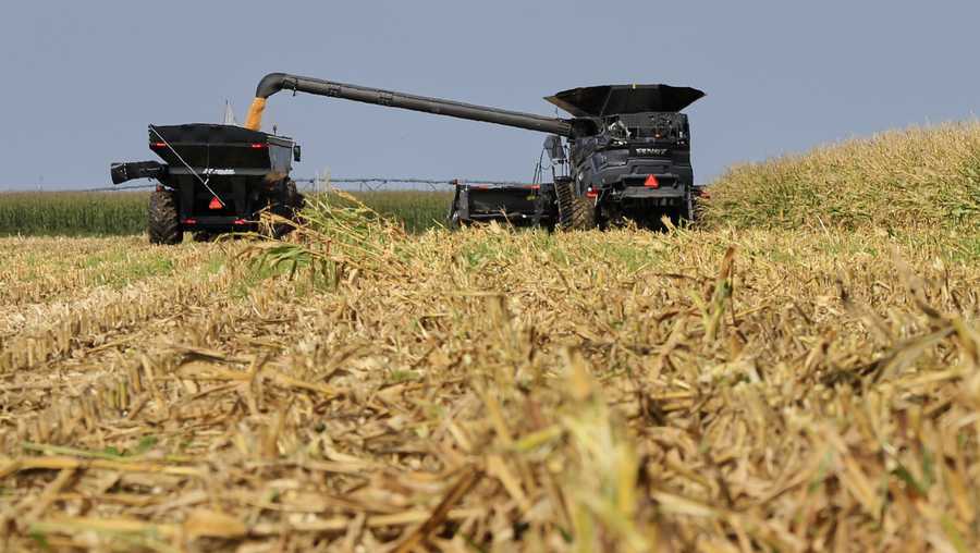 A combine unloads corn to a grain cart, during a harvesting demonstration at the Husker Harvest Days farm show in Grand Island, Neb., Tuesday, Sept. 10, 2019. (AP Photo/Nati Harnik)