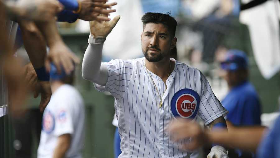 Chicago Cubs' Nicholas Castellanos celebrates with teammates in the dugout after scoring on a passed ball by St. Louis Cardinals catcher Yadier Molina during the first inning of a baseball game Sunday, Sept. 22, 2019, in Chicago. (AP Photo/Paul Beaty)