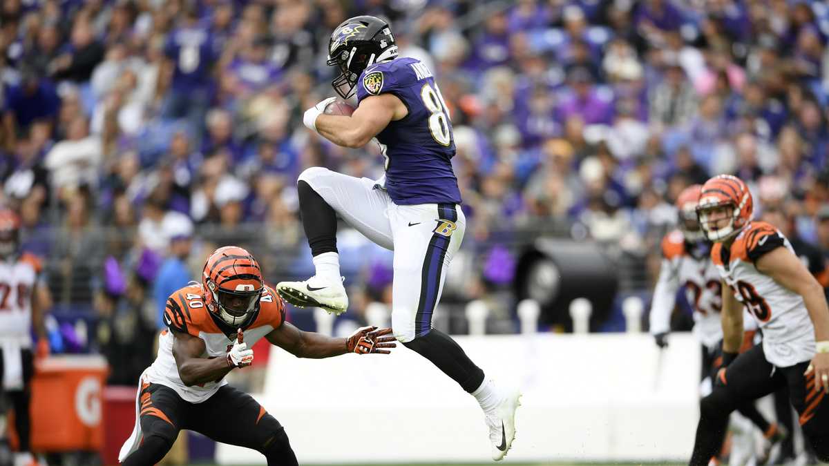 Baltimore Ravens' 2019 season in photos