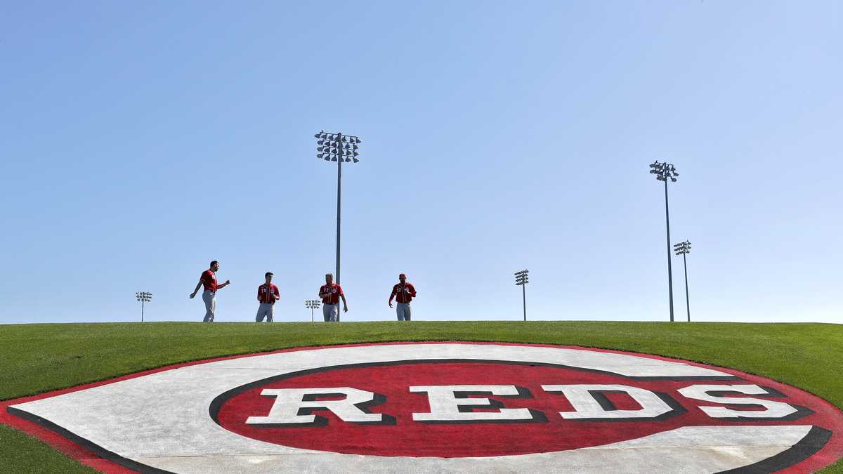 Cincinnati Reds on X: Spring decorating 😤