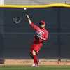 New OF Akiyama singles, tries steal in eventful Reds debut - The San Diego  Union-Tribune