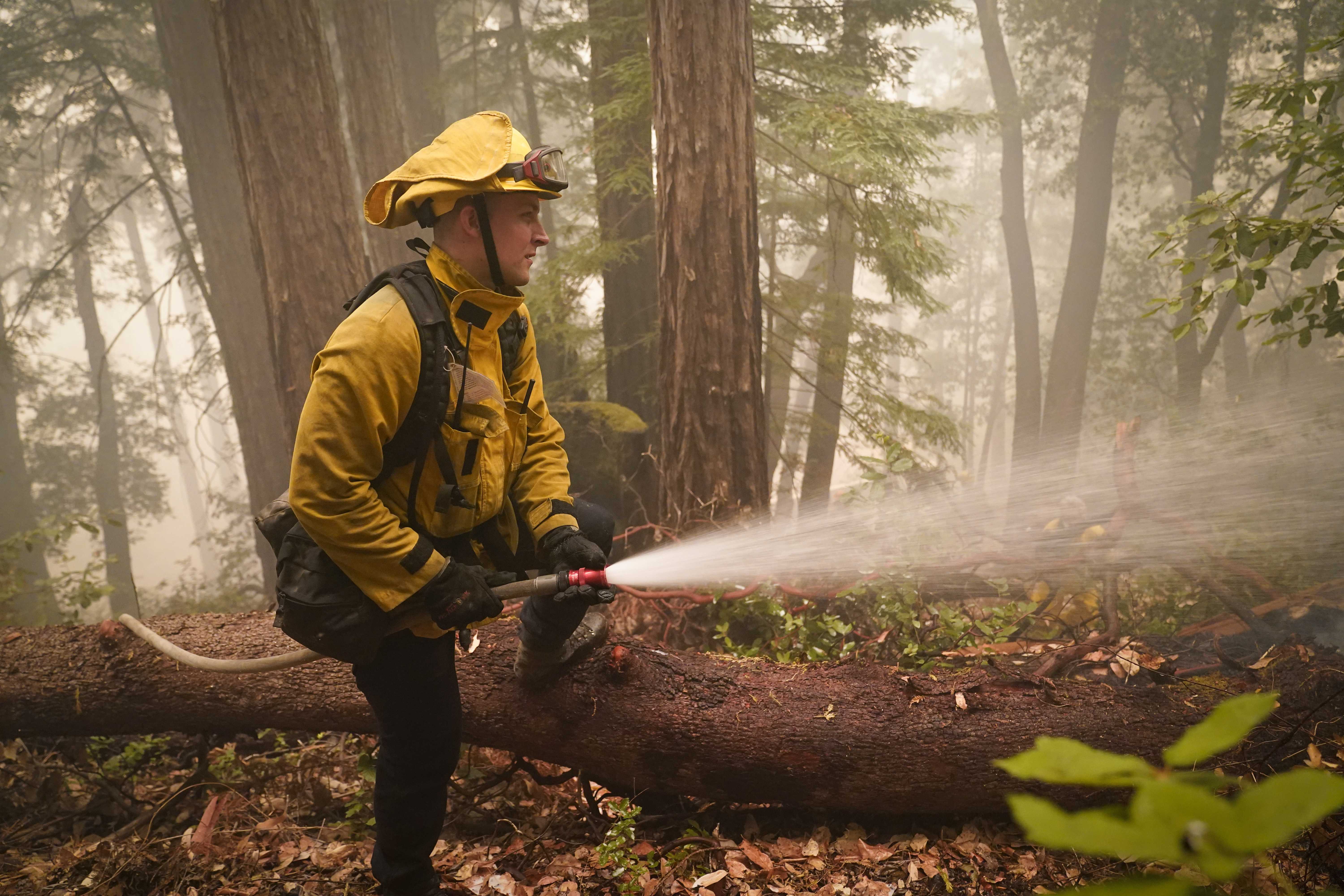 Fire breaks created around Santa Cruz UCSC to protect the city