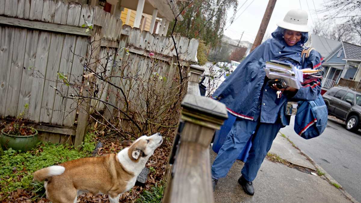Kansas City among nation’s worst for dog attacks on letter carriers