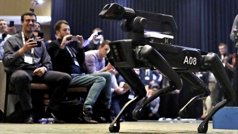 FILE - In this May 24, 2018, file photo, a Boston Dynamics SpotMini robot walks through a conference room during a robotics summit in Boston. Boston Dynamics on Tuesday, June 16, 2020 started selling its four-legged Spot robots online for just under $75,000 each. The agile robots can walk, climb stairs and open doors. But people who buy them online must agree not to arm them or intentionally use them as weapons, among other conditions. (AP Photo/Charles Krupa, File)