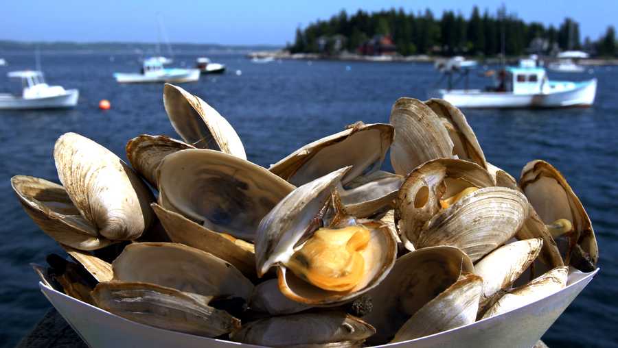 Basket of cooked steamers