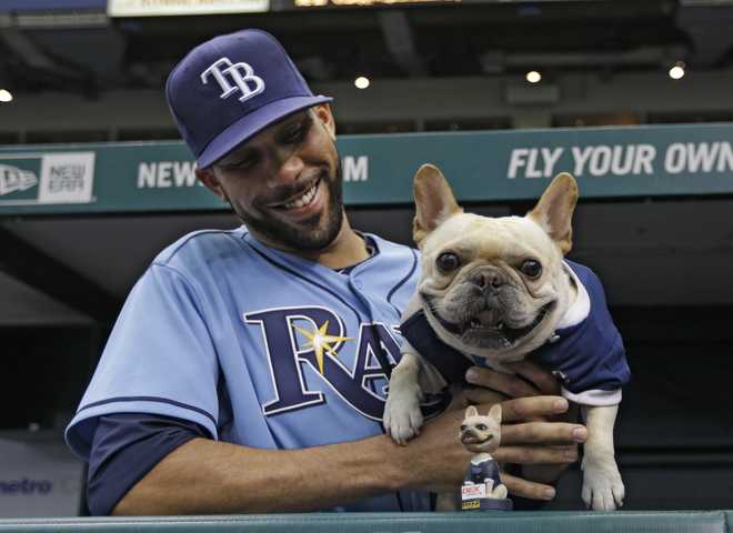 Pet Pals: David Price and Astro - SI Kids: Sports News for Kids, Kids Games  and More