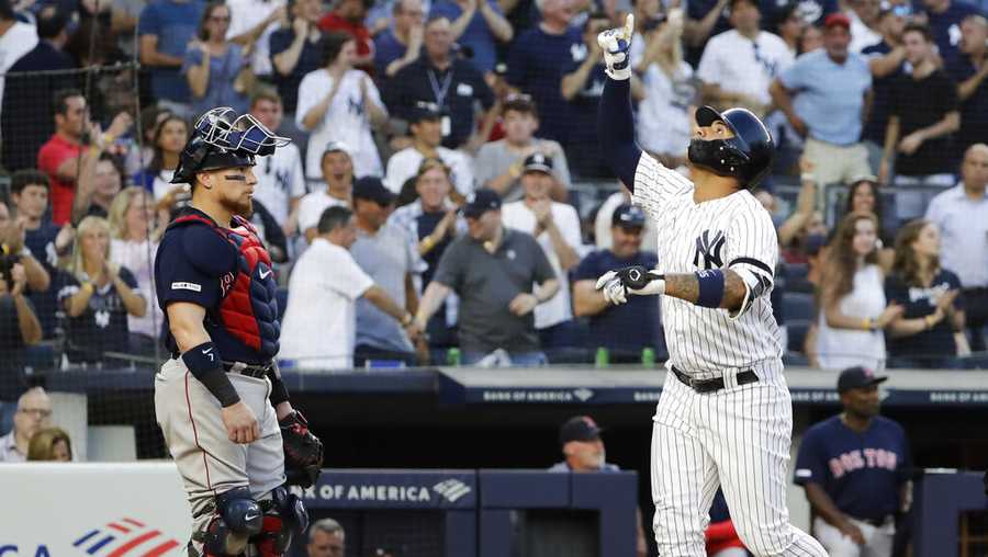 New York Yankees' Tyler Wade (14) celebrates with teammates after