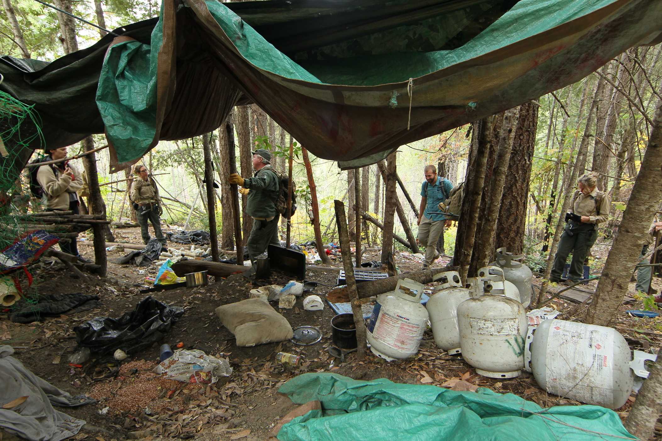 Illegal pot farms have invaded the California desert - Los Angeles