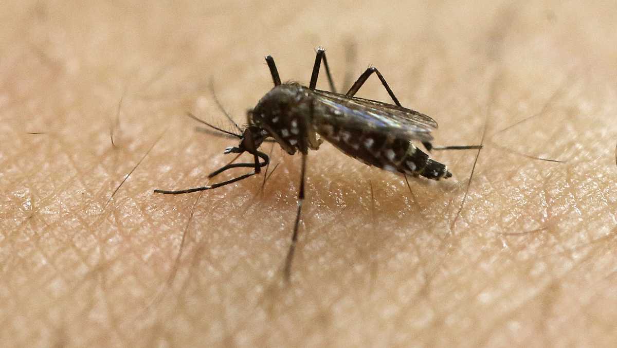 Oficialii de sănătate publică anunță primul caz uman de virus West Nile în acest an