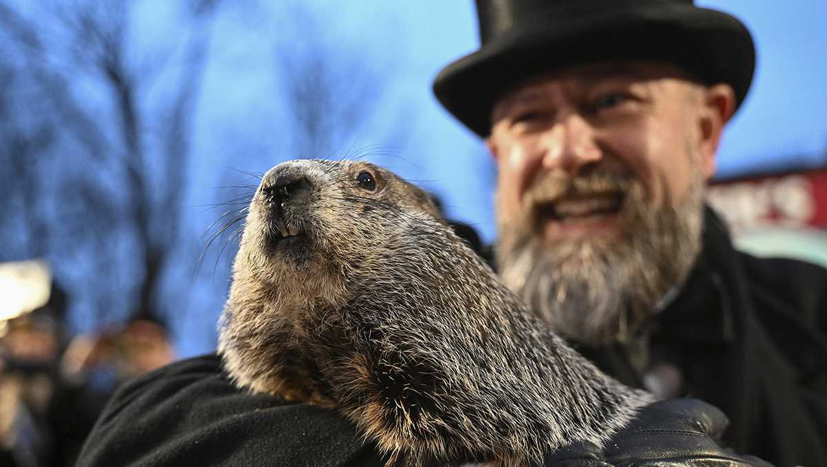 What was Punxsutawney Phil's prediction?