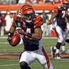 T.J. Houshmandzadeh named Ruler of the Jungle for Bengals' playoff opener