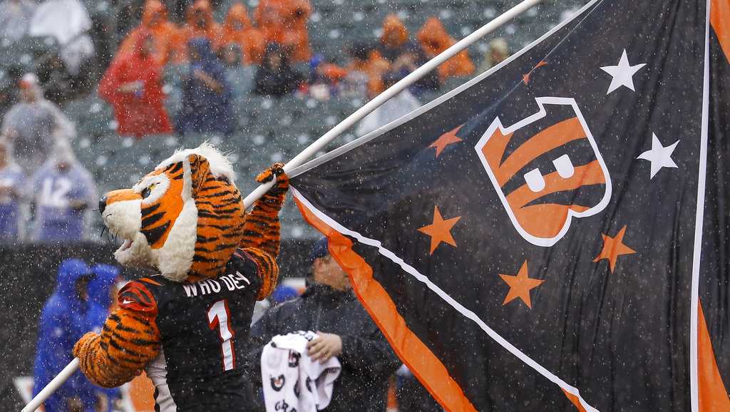 Cincinnati Bengals Who-Dey football team sport images