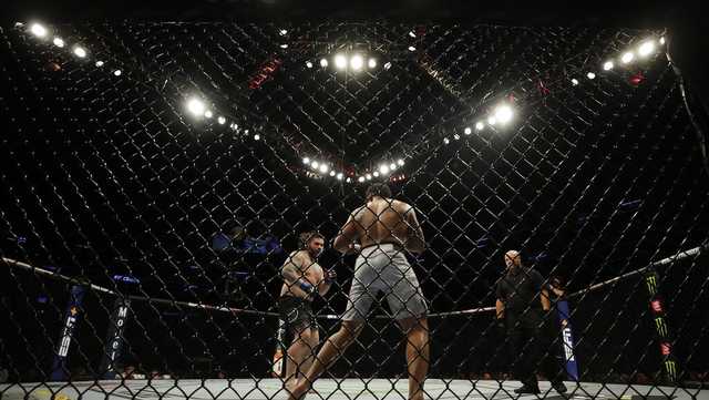 UFC returning to Boston for first time since 2019 - Vimarsana News