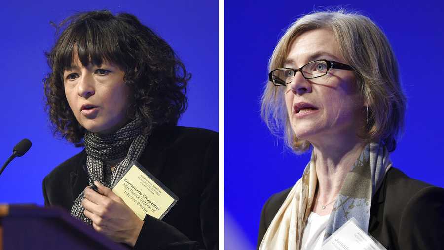 FILE - This Tuesday, Dec. 1, 2015 file combo image shows Emmanuelle Charpentier, left, and Jennifer Doudna, both speaking at the National Academy of Sciences international summit on the safety and ethics of human gene editing, in Washington. The 2020 Nobel Prize for chemistry has been awarded to Charpentier and Doudna “for the development of a method for genome editing.” (AP Photo/Susan Walsh, File)