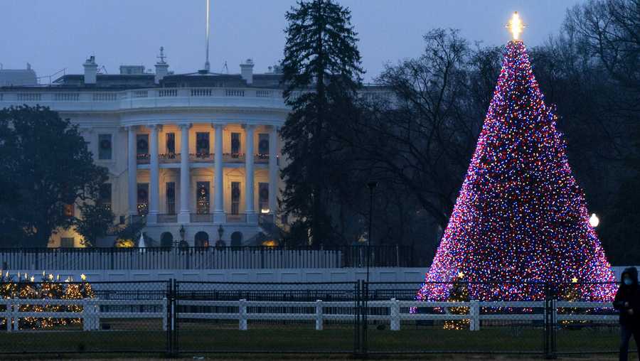 The National Christmas Tree glows with lights on the Ellipse near the White House, Thursday, Dec. 24, 2020, on Christmas Eve in Washington. (AP Photo/Jacquelyn Martin)