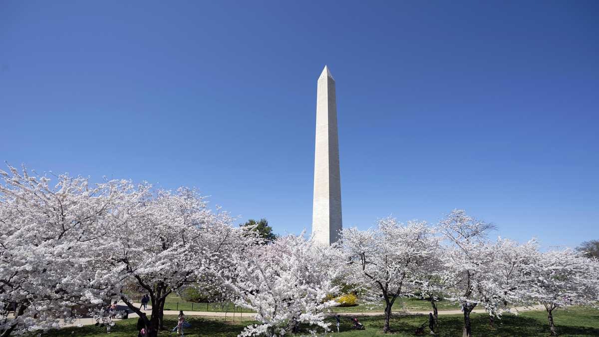 Tickets only available online as Washington Monument reopens