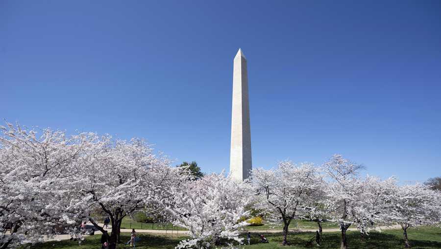 Tickets Only Available Online As Washington Monument Reopens