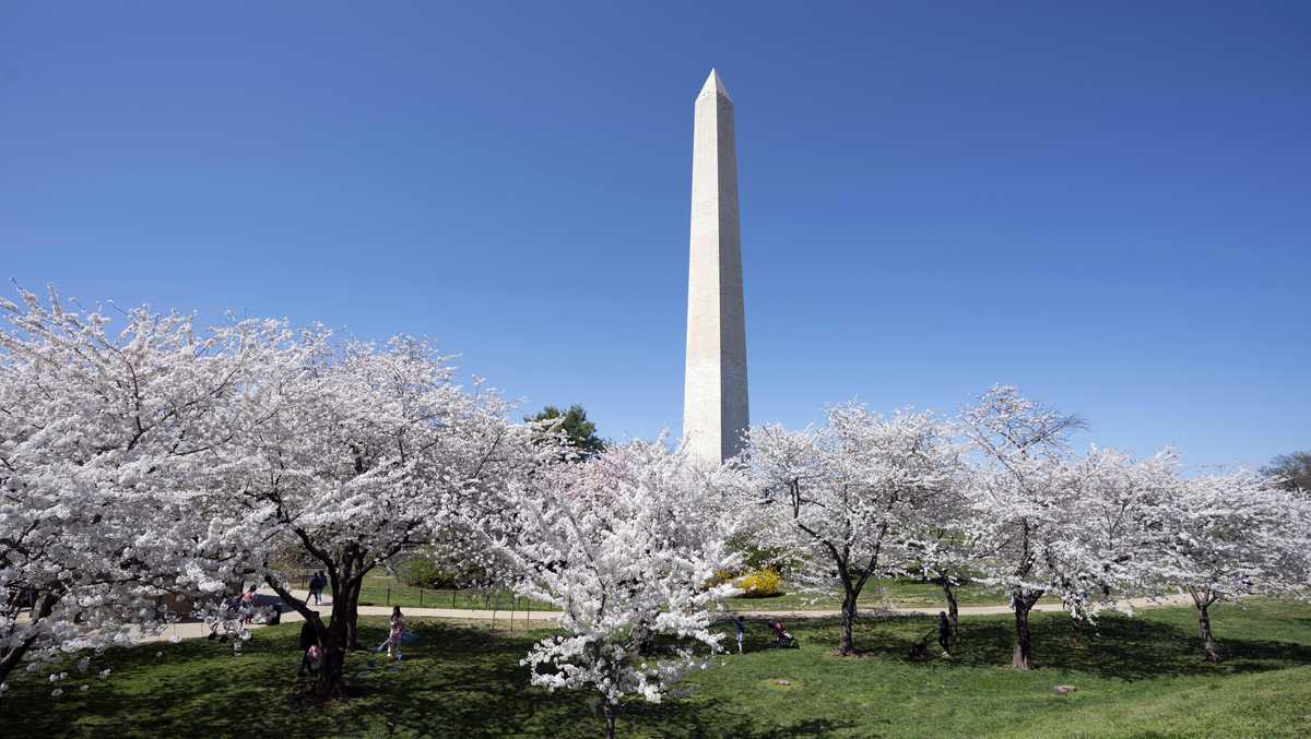 Tickets only available online as Washington Monument reopens Tickets only available online as Washington Monument reopens