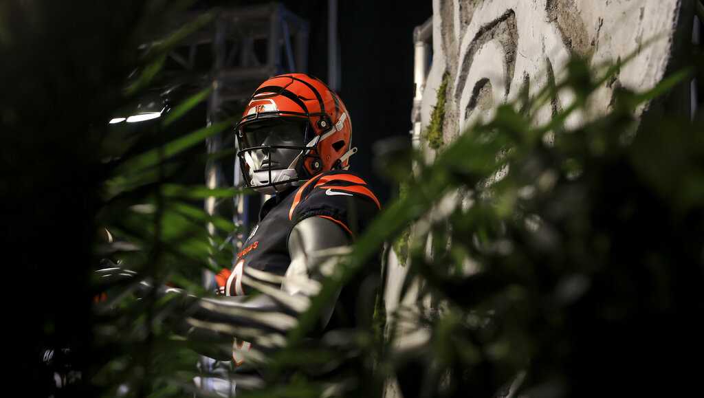 Bob Johnson, the first ever draft pick in Bengals history, will serve as  the Ruler of the Jungle in the 2021 opener